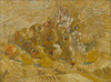 Art Prints of Quinces, Lemons, Pears and Grapes by Vincent Van Gogh