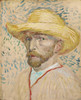 Art Prints of Self Portrait in a Straw Hat II by Vincent Van Gogh