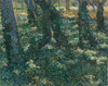 Art Prints of Undergrowth II by Vincent Van Gogh