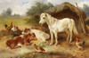 Art Prints of A Corner of the Farmyard by Walter Hunt