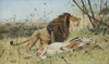 Art Prints of A Lion and His Prey by Wilhelm Kuhnert