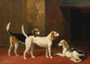Art Prints of Three Foxhounds in a Paved Kennel Yard by William Barraud
