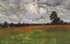 Art Prints of Clouds Over a Field of Poppies by William Wendt