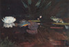 Art Prints of Mink Pond by Winslow Homer