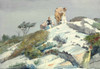 Art Prints of Rough Work by Winslow Homer