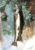 Art Prints of Two Trout by Winslow Homer