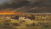 Art prints of Herd of Buffalo Fleeing from Prairie Fire by Meyer Straus