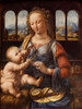 Art prints of Madonna of the Carnation by Leonardo da Vinci