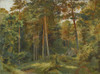 Art prints of The Mill in the Forest by Ivan Shishkin