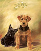 Under the Mistletoe, Scottish and Welsh Terriers by Marguerite Kirmse | Fine Art Print