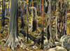 Art Prints of Burnt Forest by Akseli Gallen-Kallela