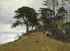 Art Prints of Cypress Point Monterey by Albert Bierstadt