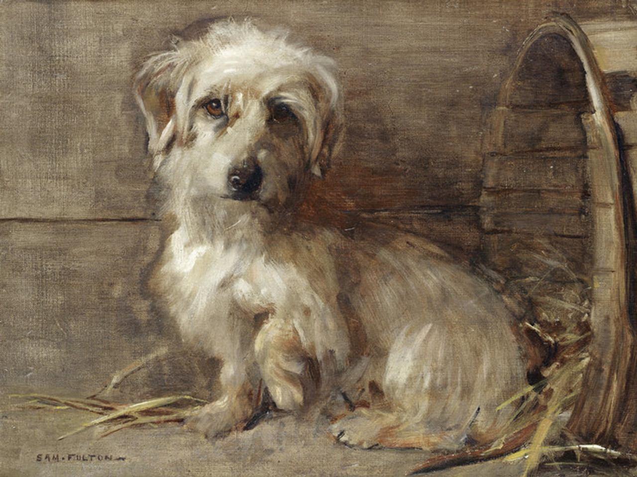 Art Prints of Dandie Dinmont by Samuel Fulton