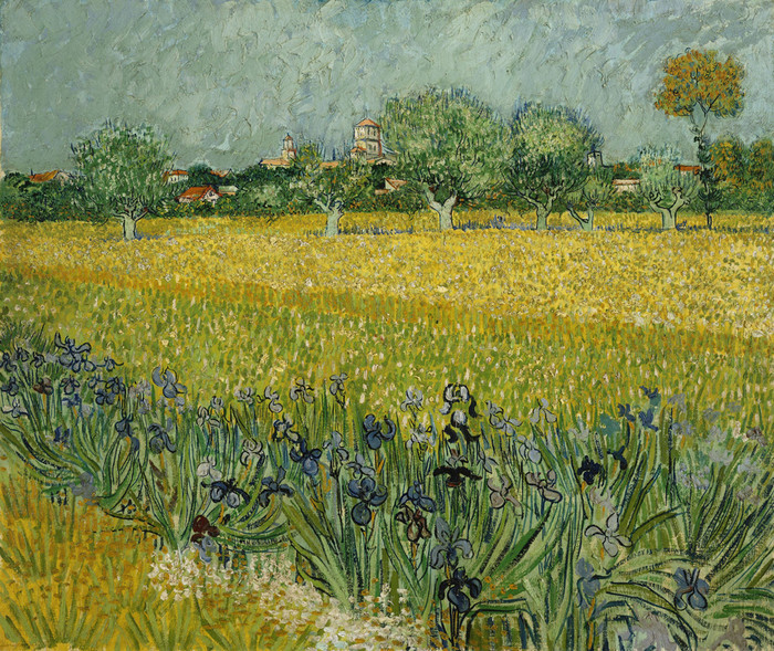 アート・デザイン・音楽 Van Gogh: Fields and Flowers Art Prints of Field with Flowers near Arles by Van Gogh
