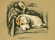 Artist Highlight: Lucy Dawson