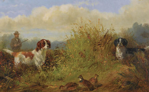 Art Prints of Quail Shooting, the Point by Arthur Fitzwilliam Tait