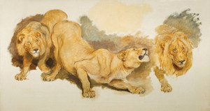 Art Prints of Study for Daniel in the Lion's Den by Briton Riviere
