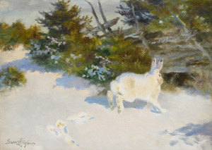 Art Prints of Hare in a Winter Landscape by Bruno Liljefors