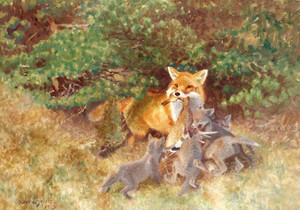 Art Prints of Fox with Cubs by Bruno Liljefors