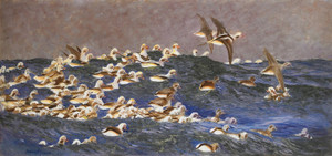 Art Prints of Long-Tailed Ducks in the Outer Archipelago by Bruno Liljefors