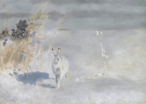 Art Prints of Snow Hare by Bruno Liljefors