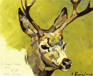 Art Prints of Deer Head by Carl Rungius