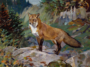 Art Prints of Red Fox by Carl Rungius