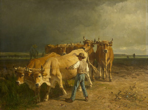 Art Prints of Oxen Plowing by Constant Troyon