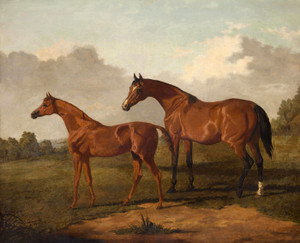 Art Prints of A Bay Mare and Colt in a Landscape by Edmund Bristow