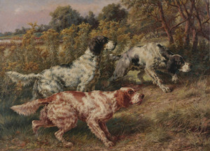 Art Prints of Stalking Setters by Edmund Henry Osthaus