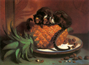 Art Prints of Pair of Brazilian Monkeys by Edwin Henry Landseer