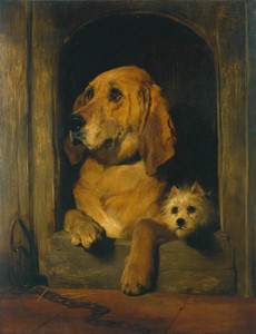 Art Prints of Dignity and Impudence by Edwin Henry Landseer
