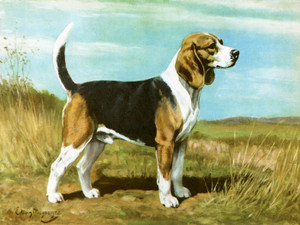 beagle hunting art