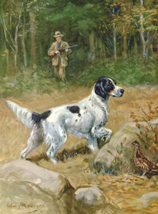 Art Prints of Hunt with English Setter by Edwin Megargee