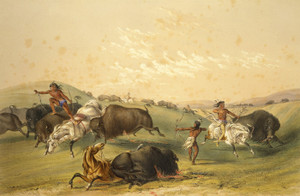 Art Prints of Buffalo Hunt by George Catlin