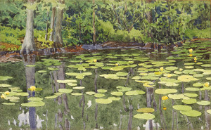 Art Prints of Water Lily Pond by Gunnar Widforss