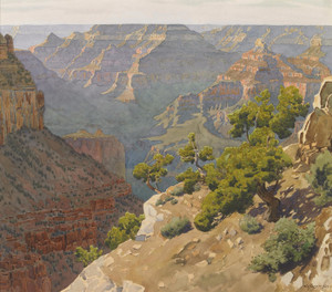 Art Prints of Grand Canyon of Arizona by Gunnar Widforss