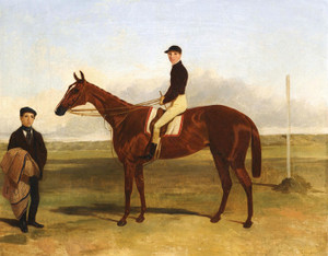 Art Prints of A Bay Racehorse with Jockey Up by Harry Hall