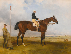 Art Prints of Lord Derby's Fazzaletto with Nat Flatman Up by Harry Hall