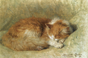 Art Prints of A Sleeping Cat by Henriette Ronner Knip