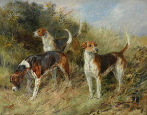 Art Prints of Dandy, Nigel and Sapphire, North Shropshire Foxhounds by Heywood Hardy
