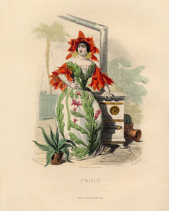 Art Prints of Cactus by J. J. Grandville