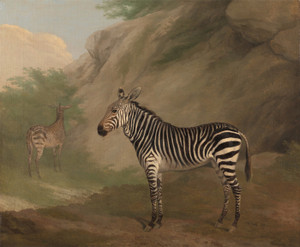 Art Prints of Zebra by Jacques-Laurent Agasse