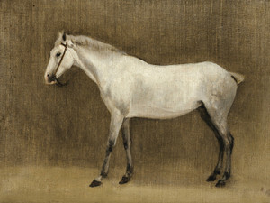 Art Prints of A Grey Horse by Camille Corot