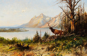 Art Prints of Elk at Jackson Lake, Wyoming by John Fery