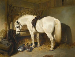 Art Prints of A Grey Pony in a Stable with Ducks by John Frederick Herring