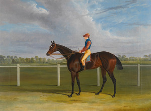 Art Prints of Bessy Bedlam, Bay Racehorse with Jockey up by John Frederick Herring