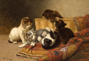 Art Prints of Playing Kittens by John Henry Dolph