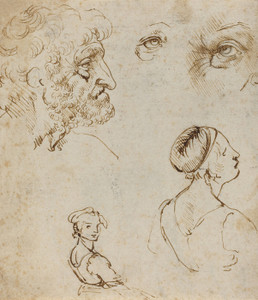 Art Prints of Sheet of Studies 1470-80 by Leonardo da Vinci