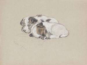 Art Prints of Jim and Mike as Puppies by Lucy Dawson